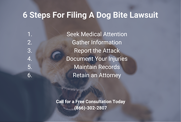 6 Steps For Filing A Dog Bite Lawsuit