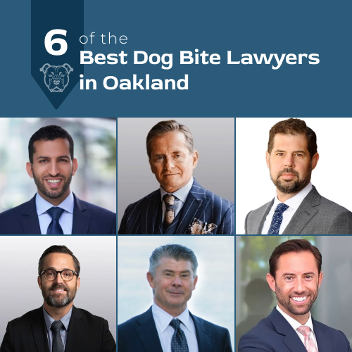 best dog bite lawyers in Oakland
