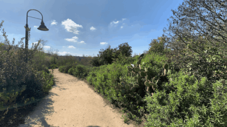 Ballona Discovery Park Westchester CA