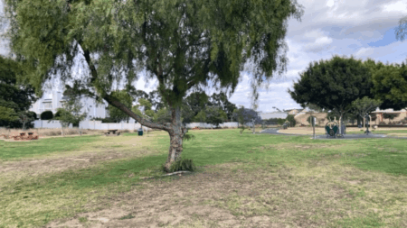 Norman O Houston Park Inglewood CA