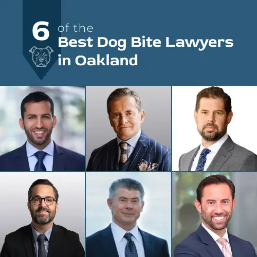 best dog bite lawyers in Oakland