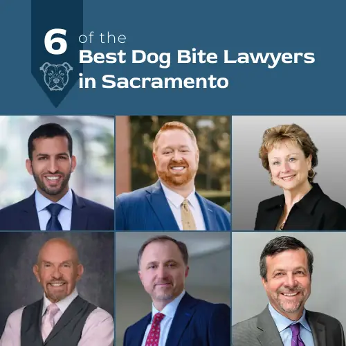 best dog bite lawyers in Sacramento
