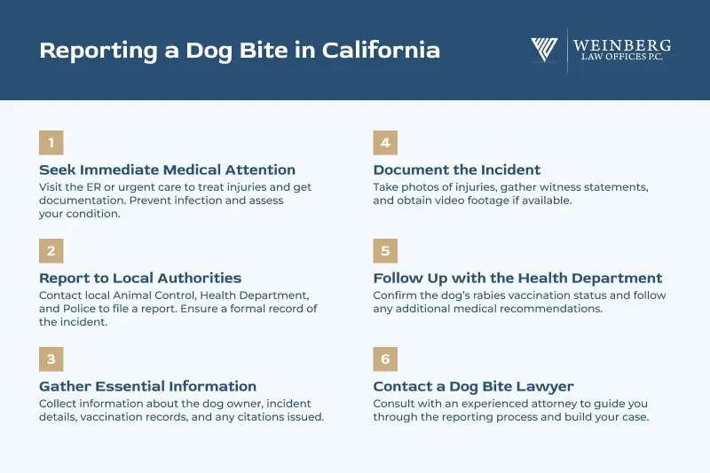 reporting a dog bite